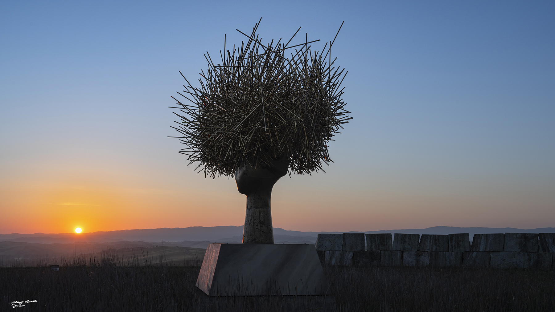 "Clio Dorada" Lajatico