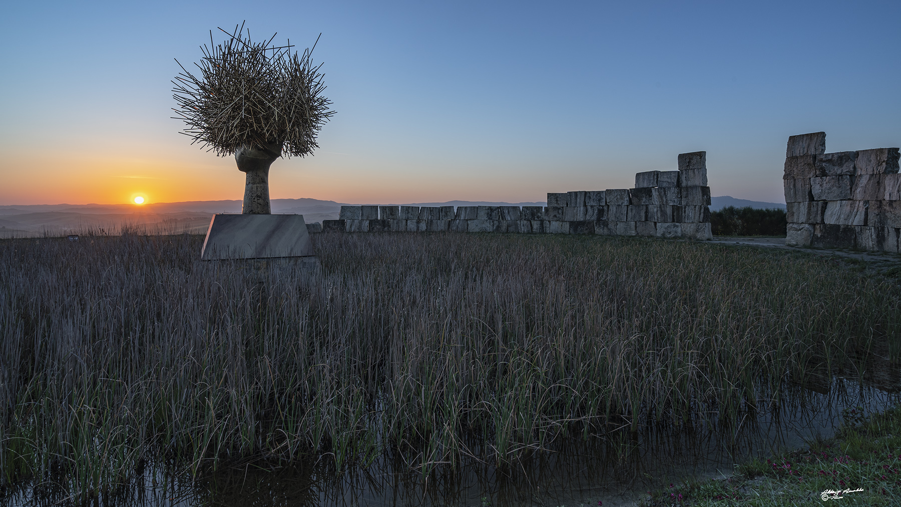 "Clio Dorada" Lajatico 2