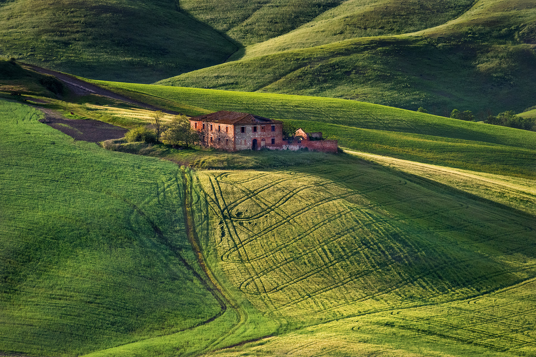 "crete Senesi"
