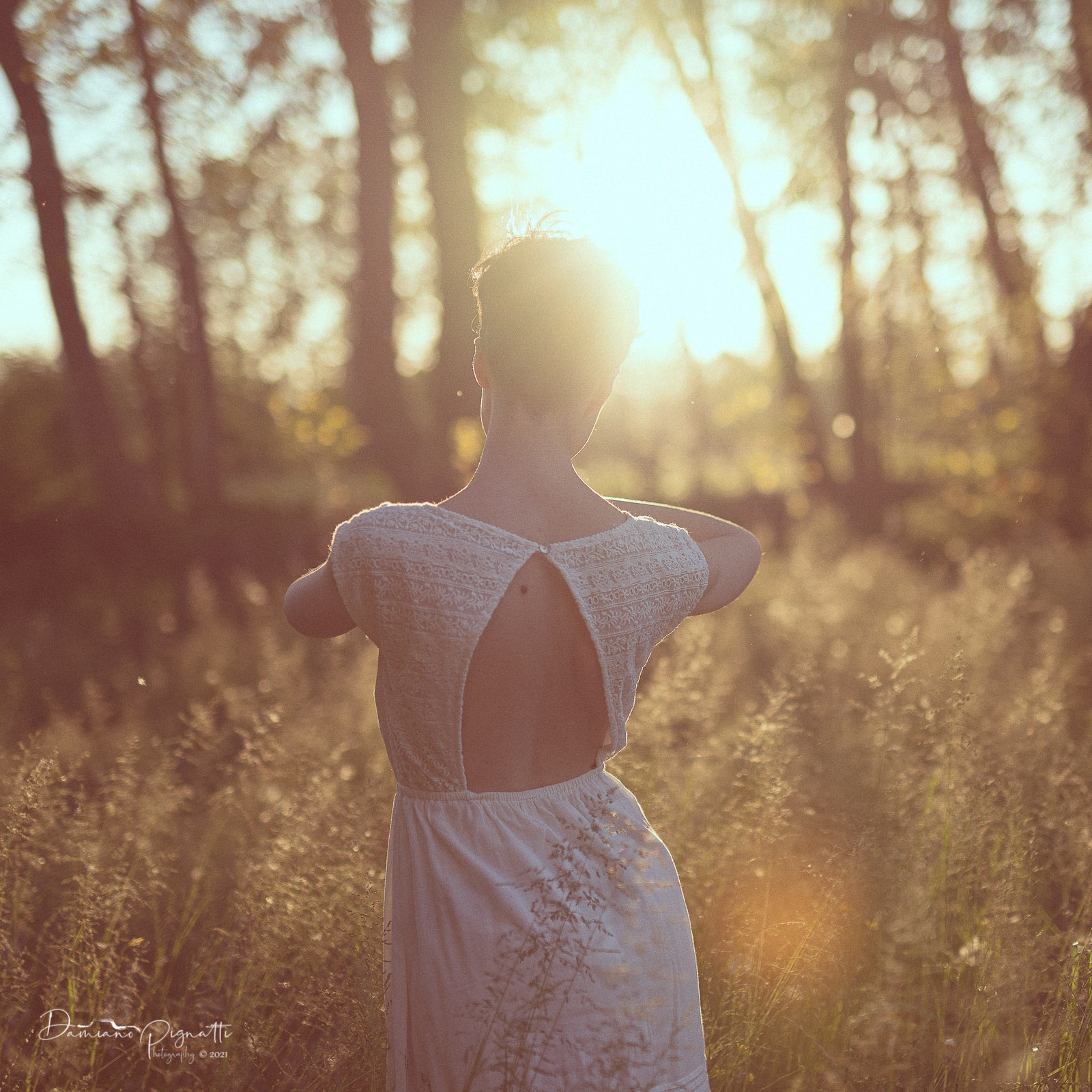 Nel silenzio del vento della sera