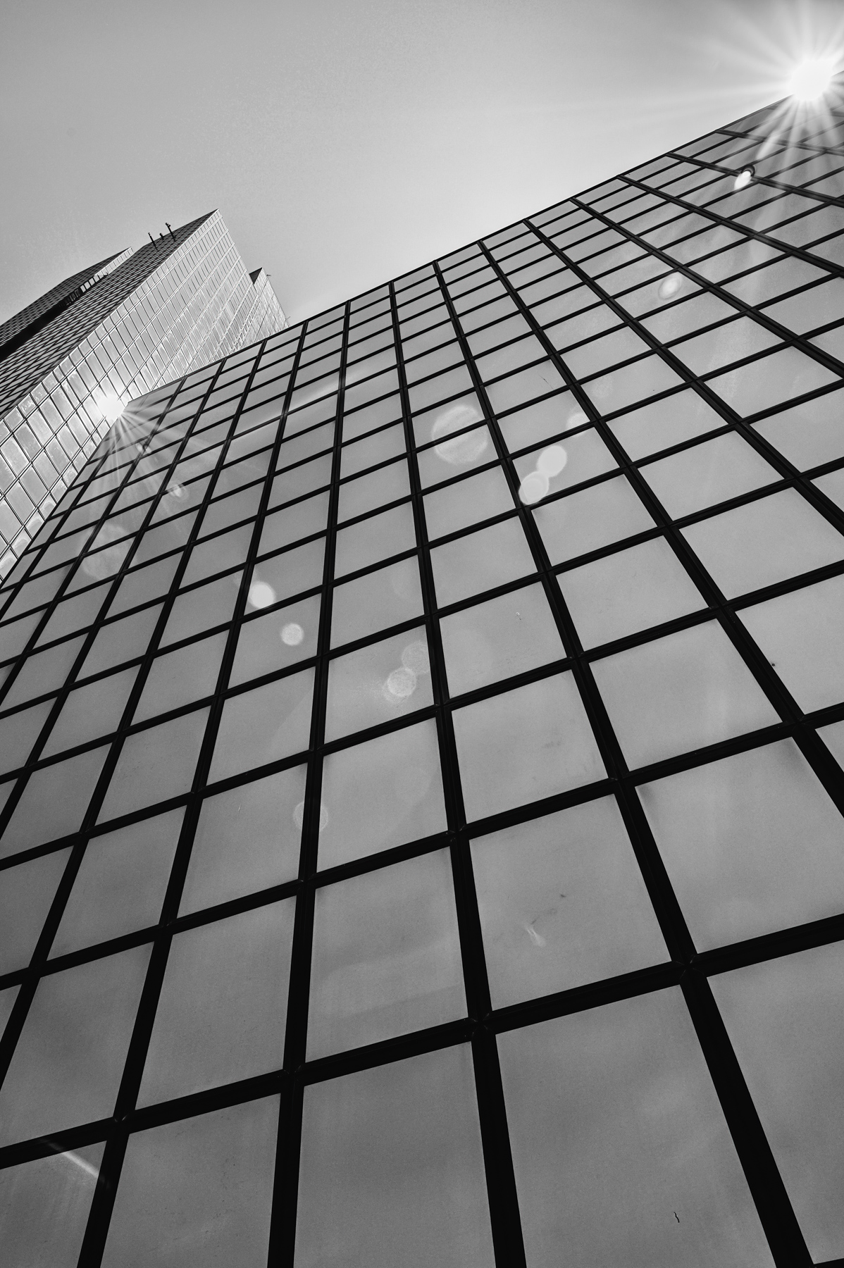 centro direzionale flare 2