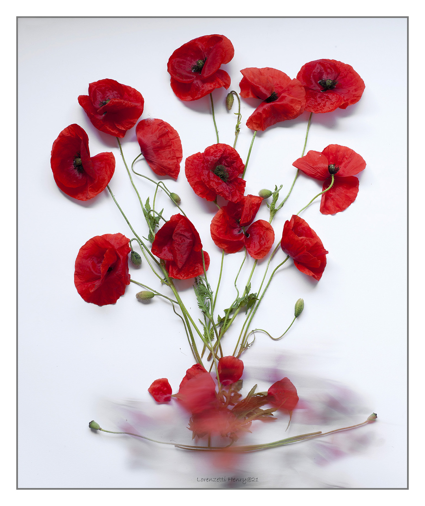 All'improvviso un soffio di vento..