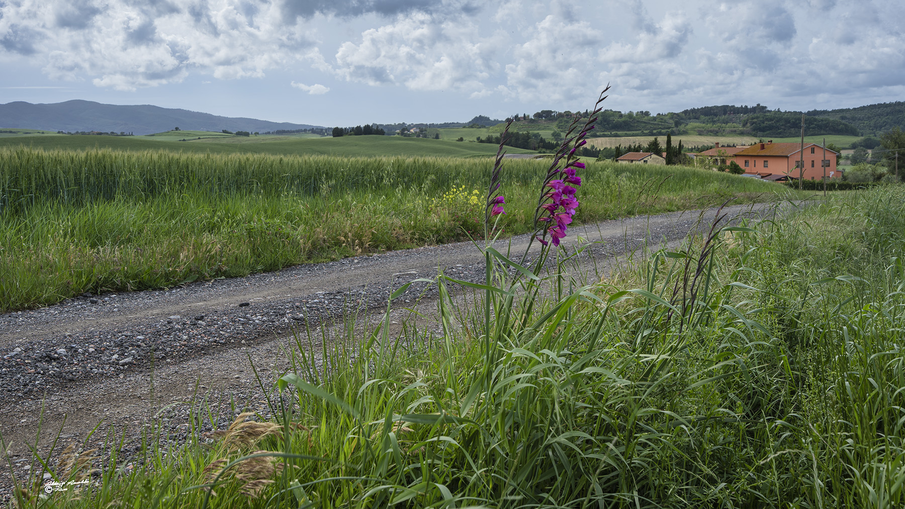 Nel verde della Campagna..