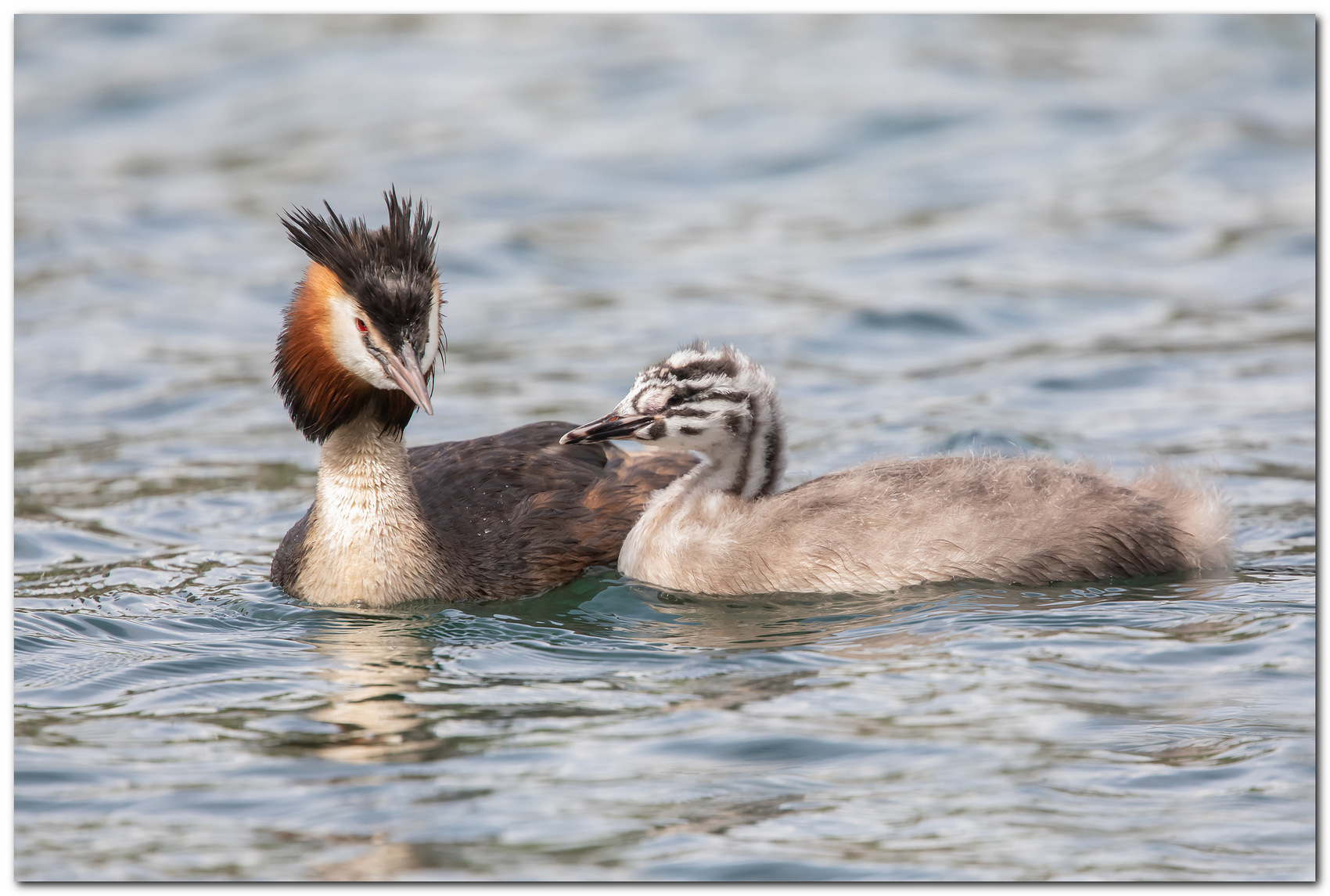 Pap� svasso e piccolo.