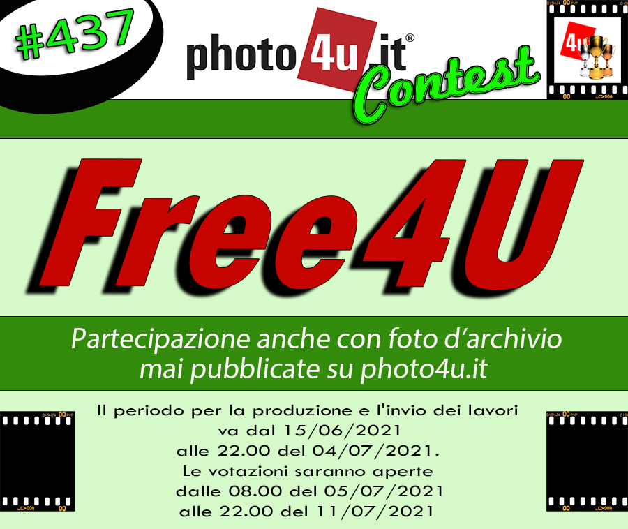 437� Contest Free4U