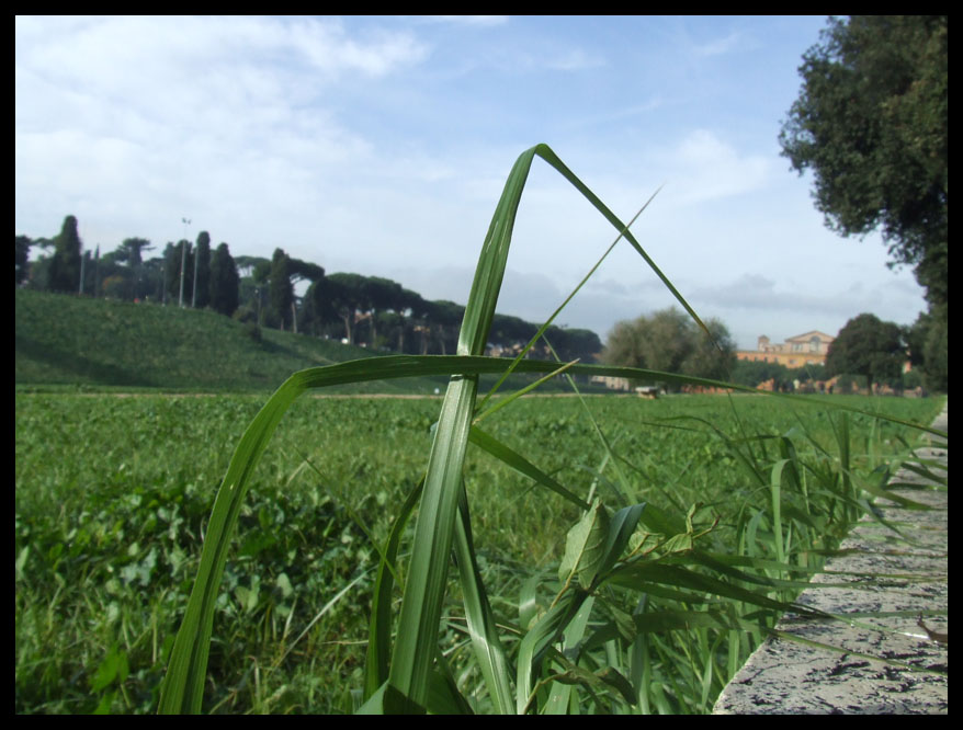 circo massimo - roma -