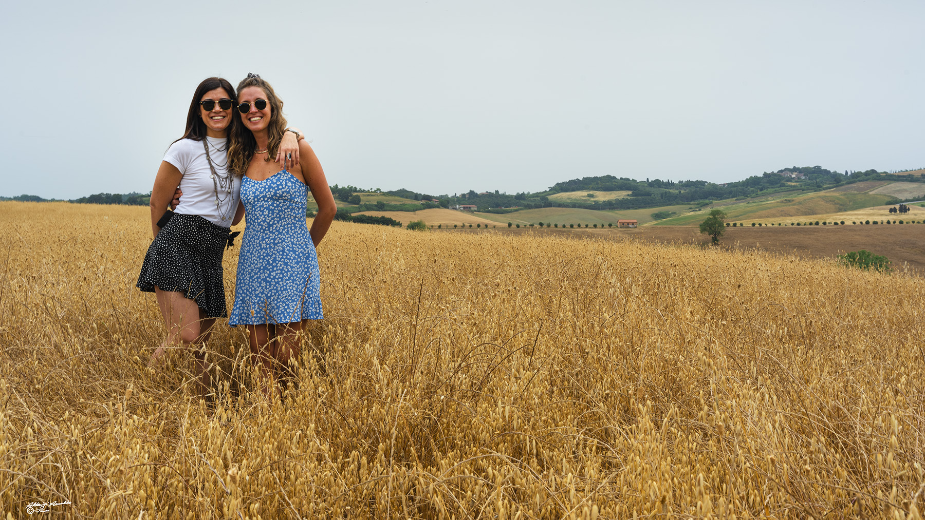 Incontri casuali del mattino..