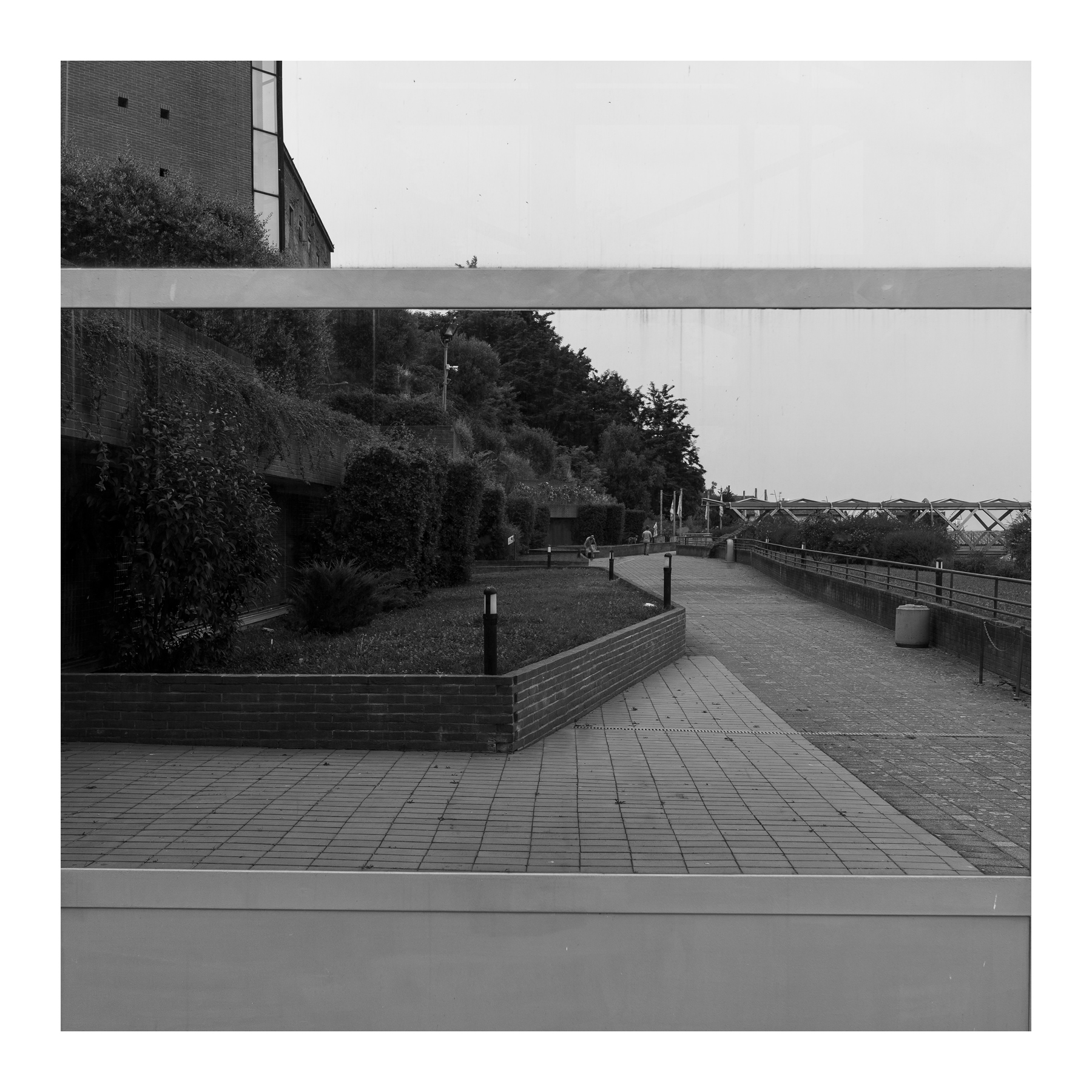 Specchio delle mie ......