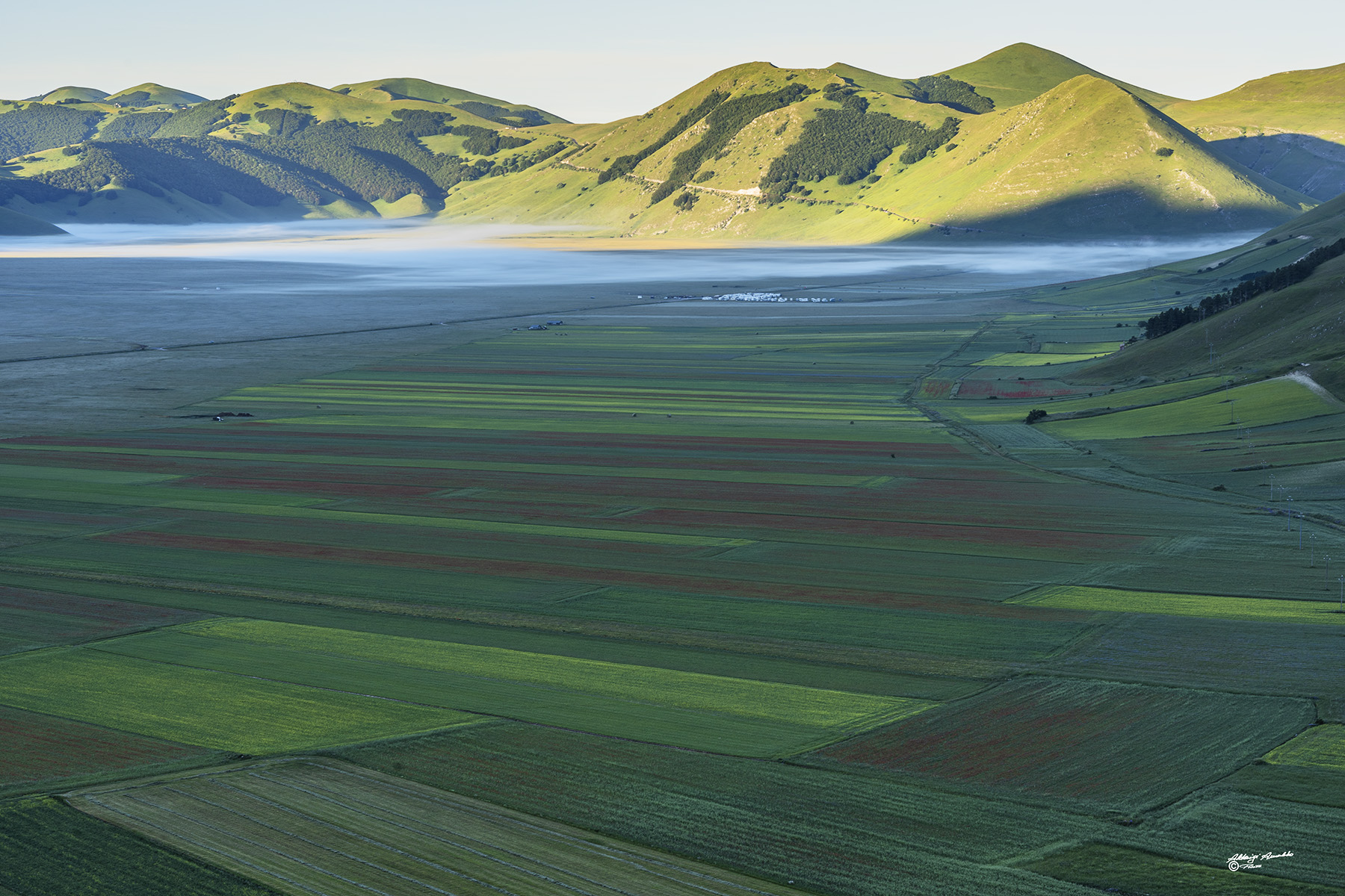 Leggera foschia al mattino nella piana di Castelluccio..