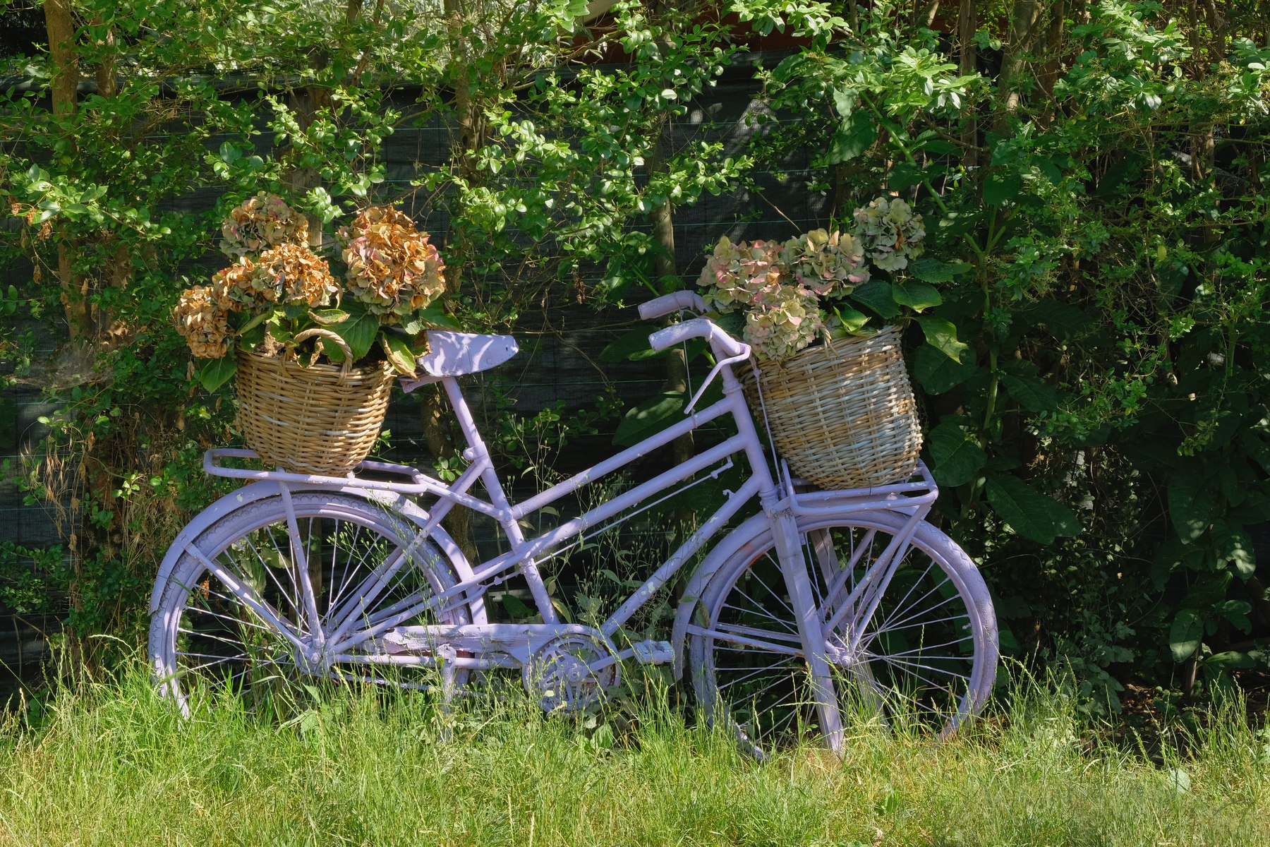 Parco del Ticino #10