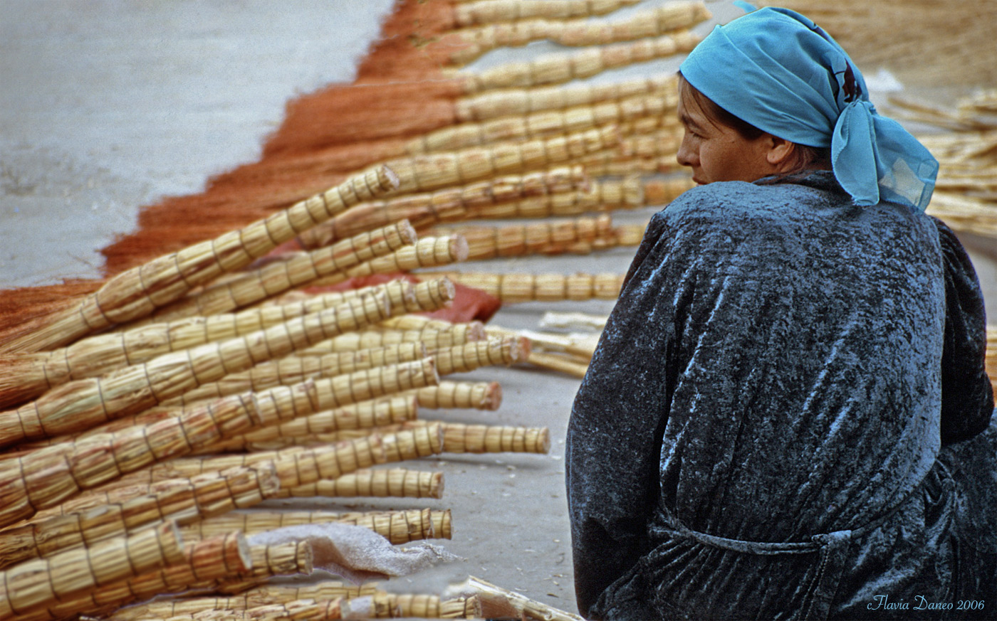 La venditrice di scope