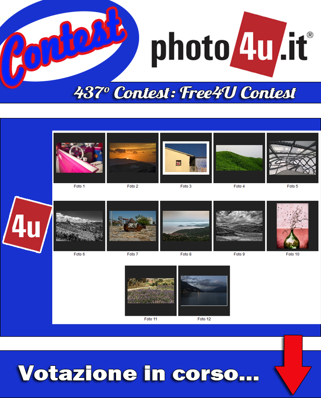 437� Contest: Free4U Contest - Votazione in corso