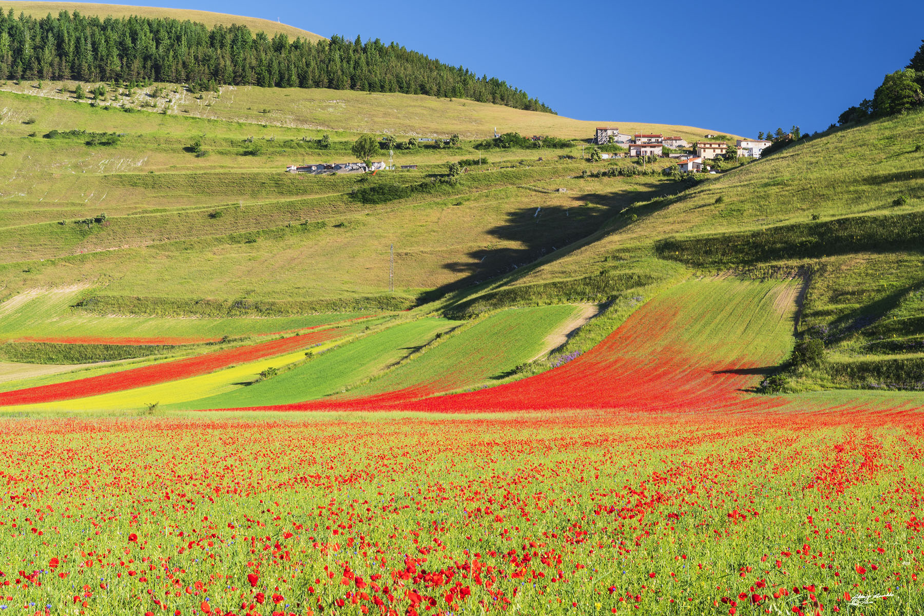 Castelluccio ed i suoi colori..(027)
