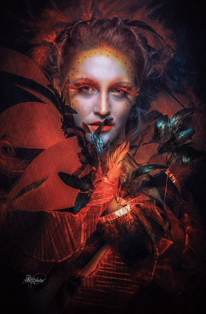 ���� Phenicya ����