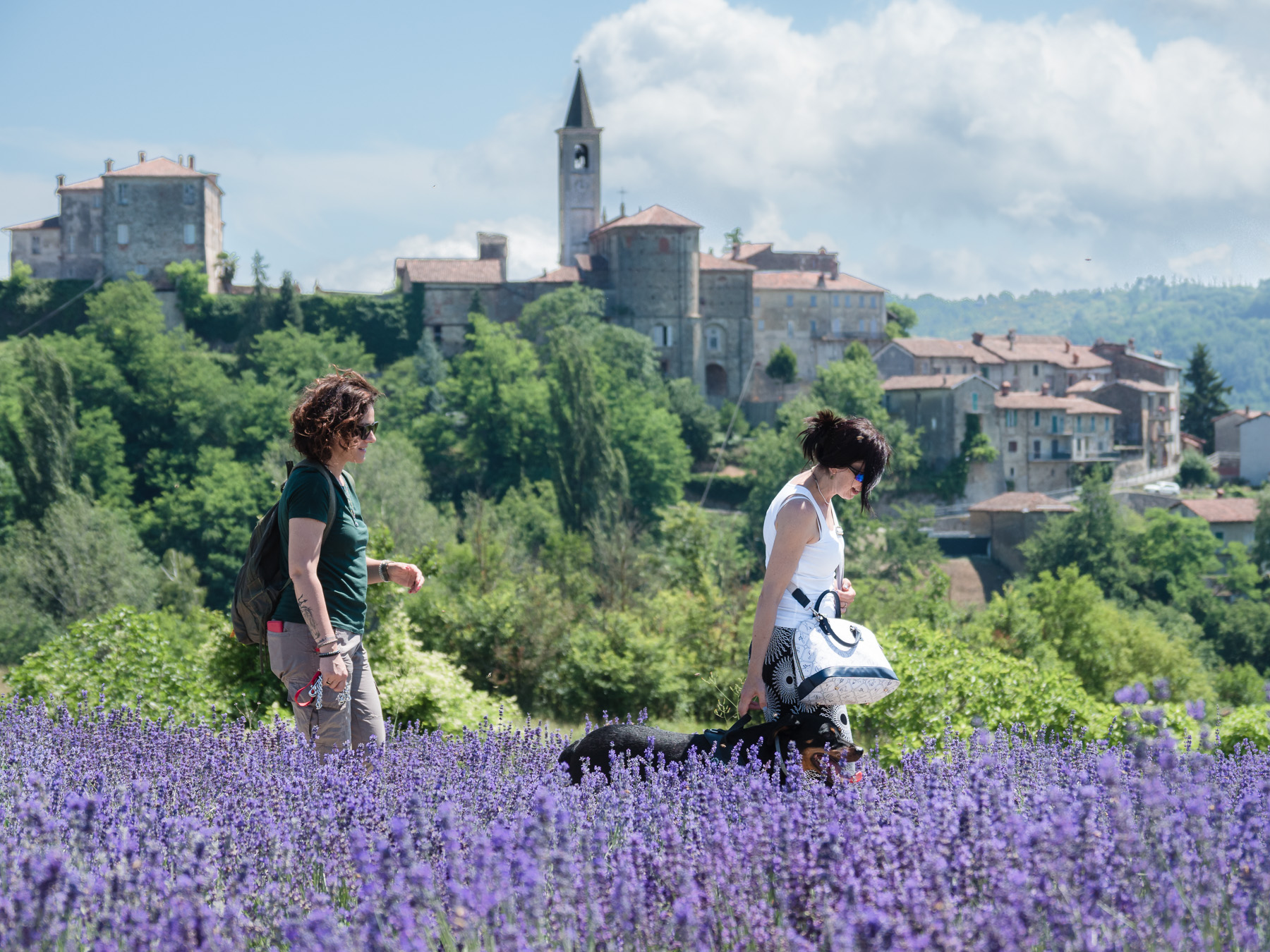 A passeggio tra la lavanda
