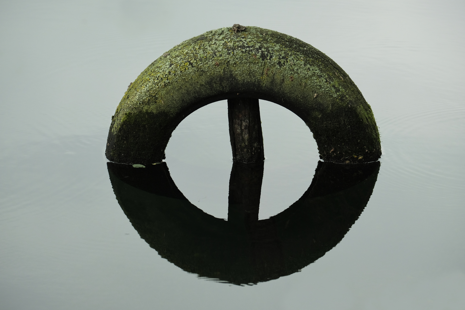 Alzaia del Ticino #18