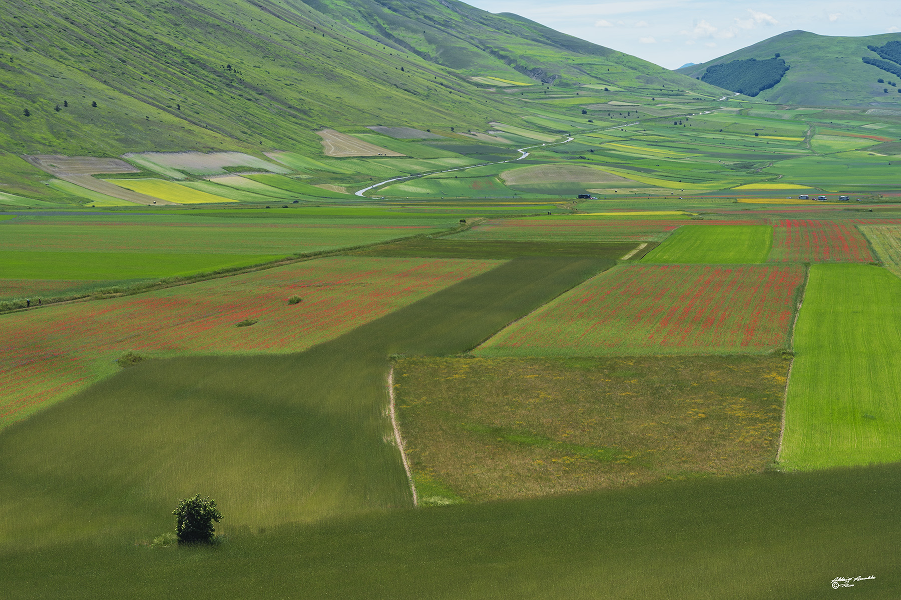Tavolozze di colori.. Piana Castelluccio.