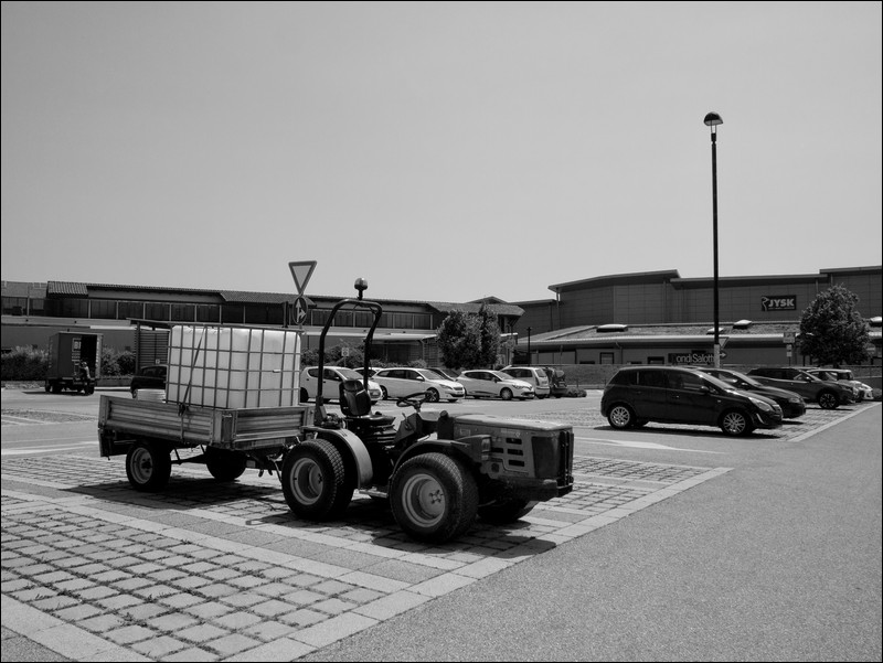 Il ragazzo di campagna