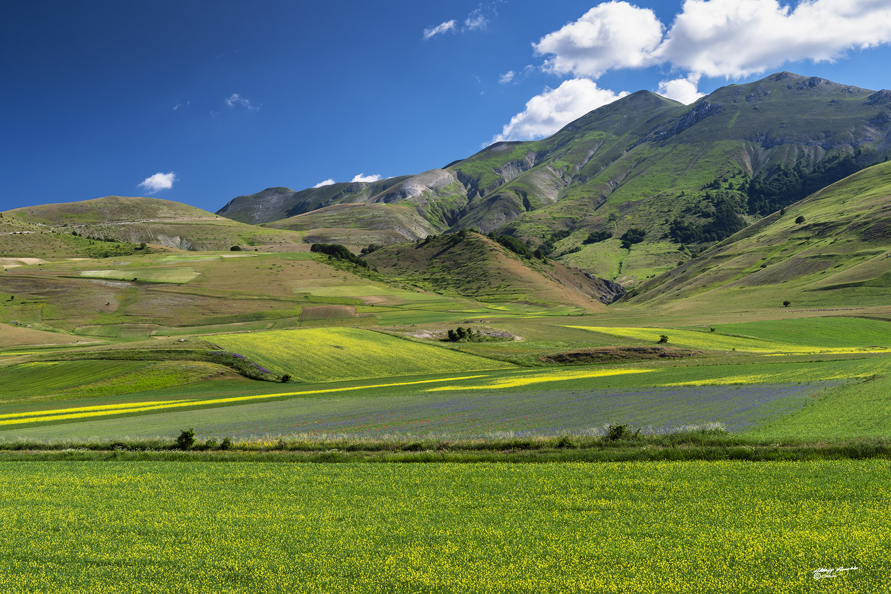 Distese.. sotto i monti Sibillini.. Castelluccio