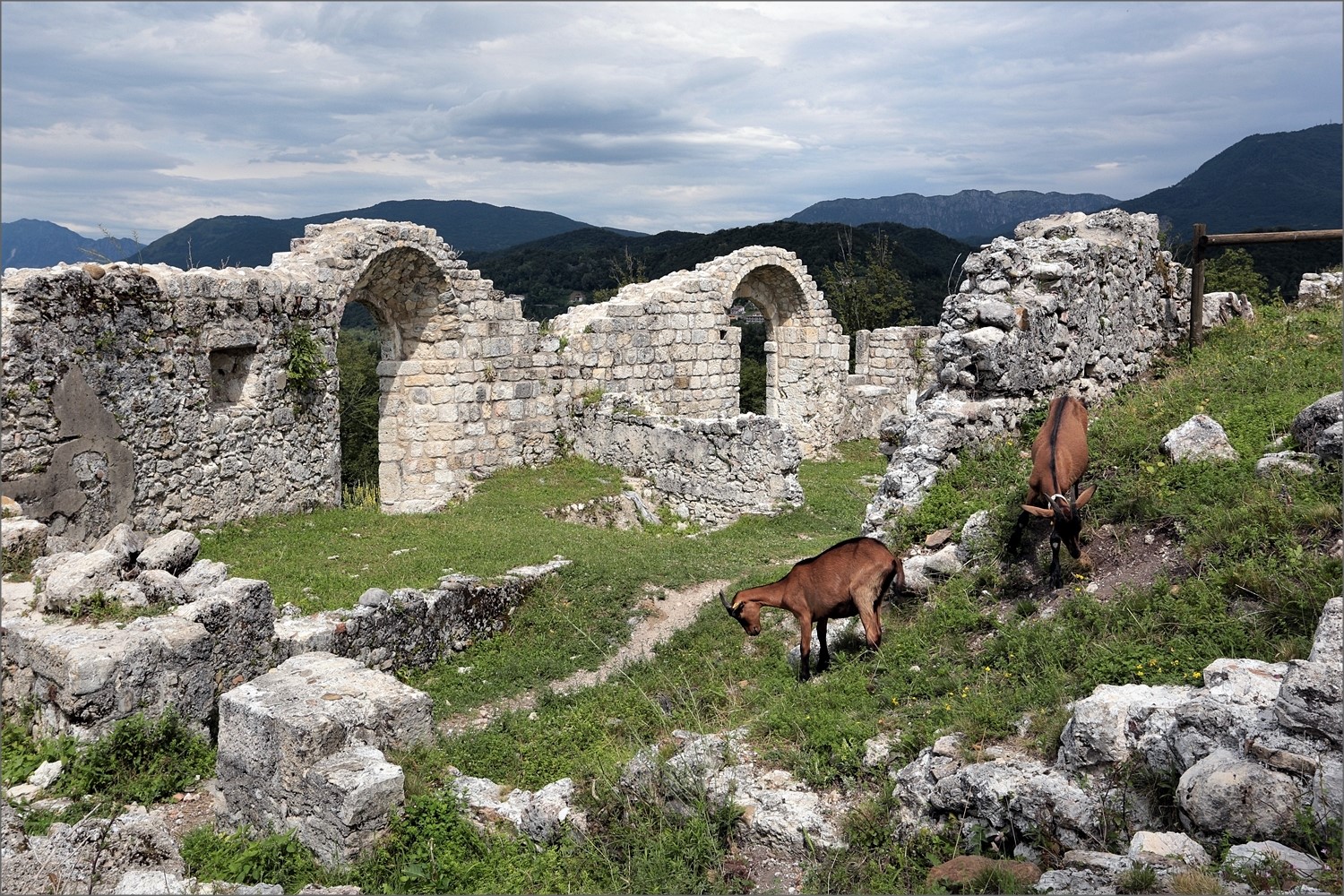 Ruderi Castello di Pinzano (PN)