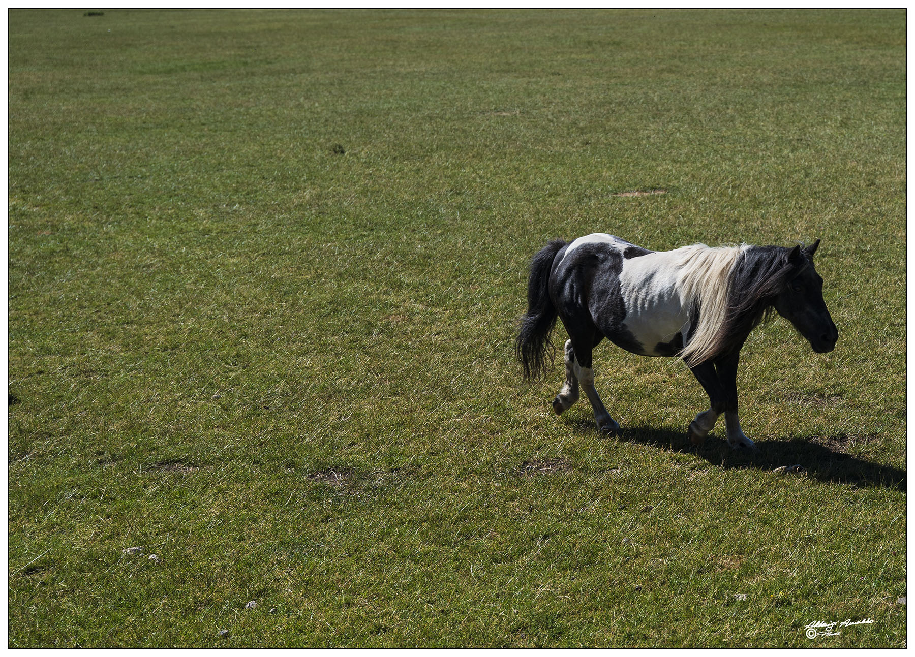 Solitario.. Castelluccio 069
