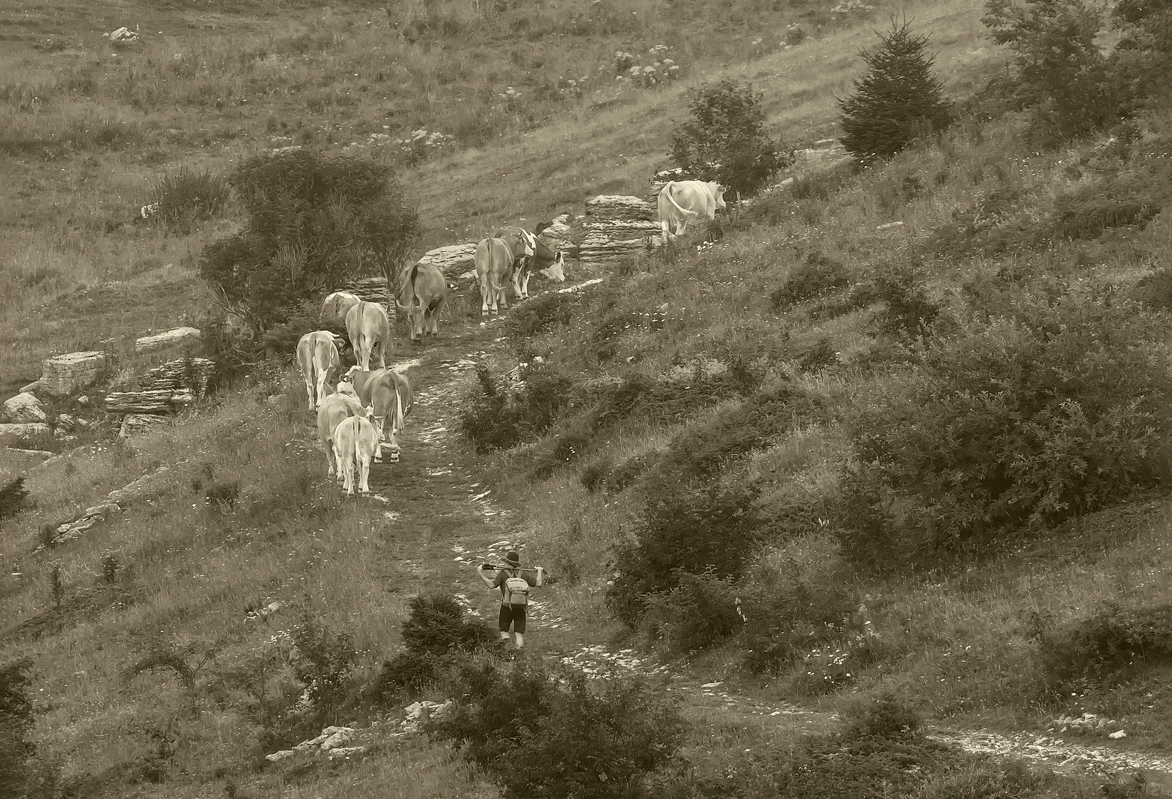 Lessinia senza tempo