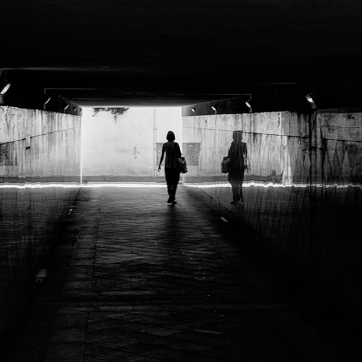 compagnia silenziosa