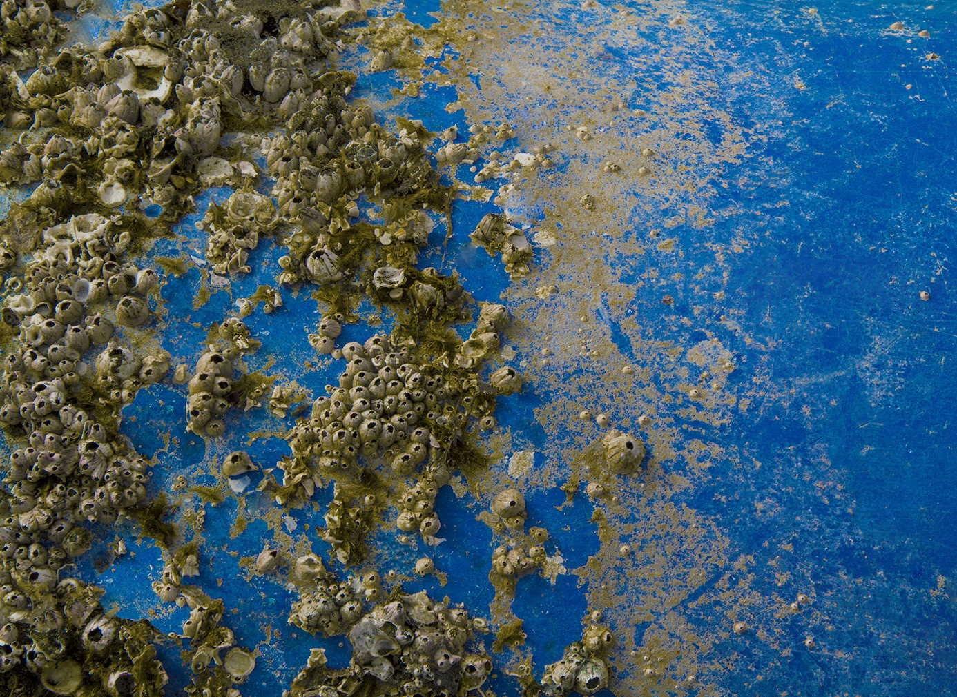 un luogo non lontano