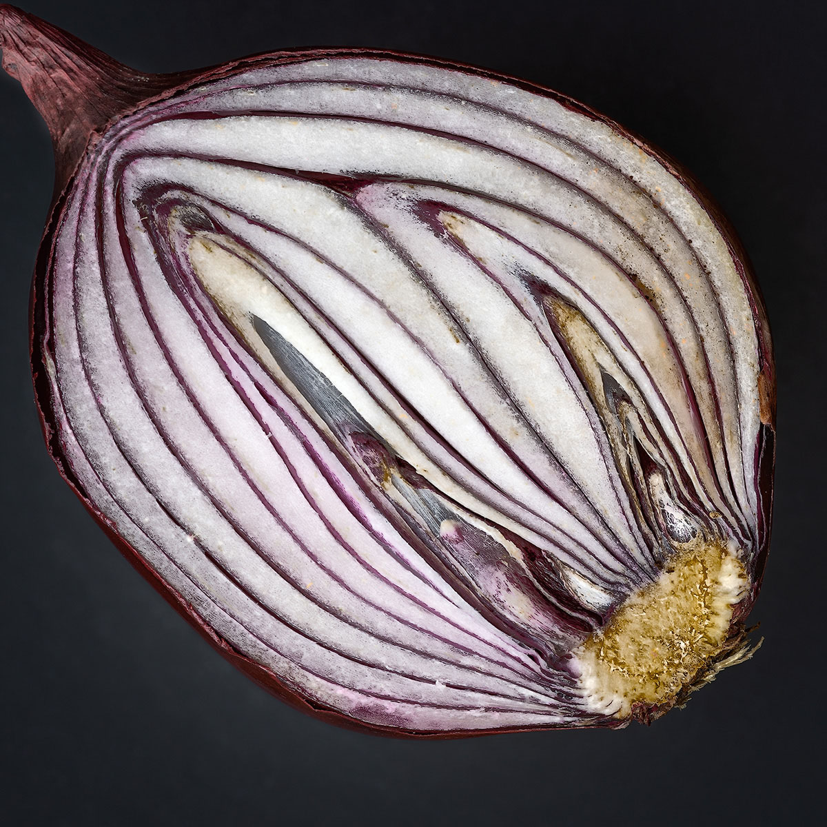 Onion