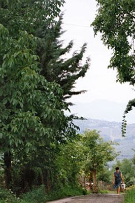 la donzelletta...