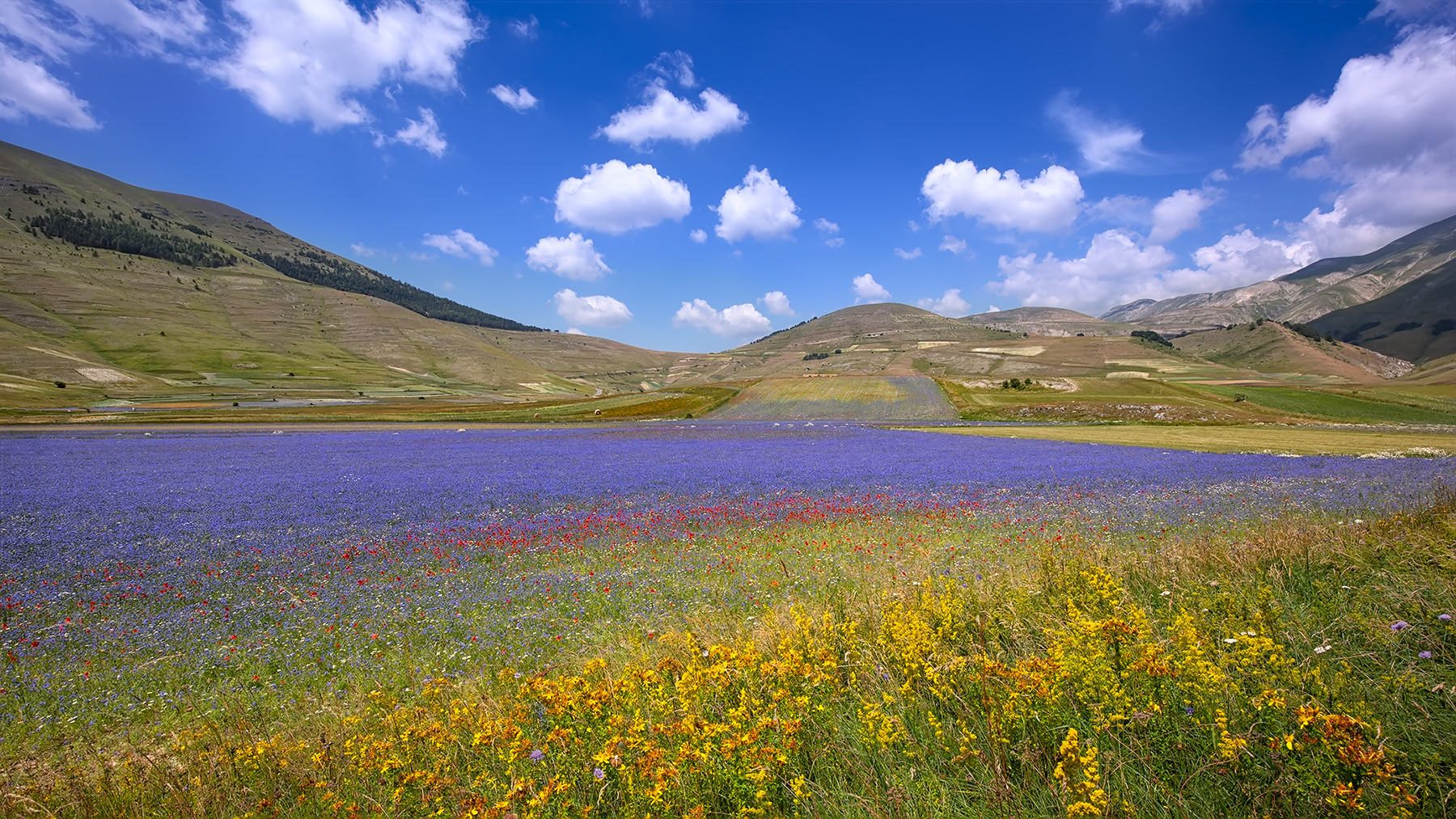 Castelluccio