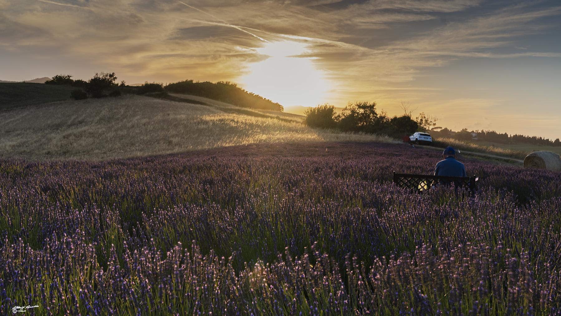 Tramonto nella lavanda..