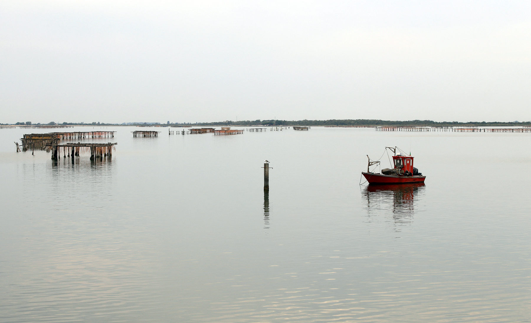 Sacca degli Scardovari