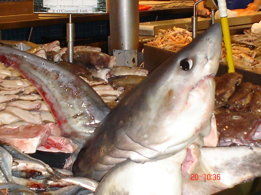 AL MERCATO