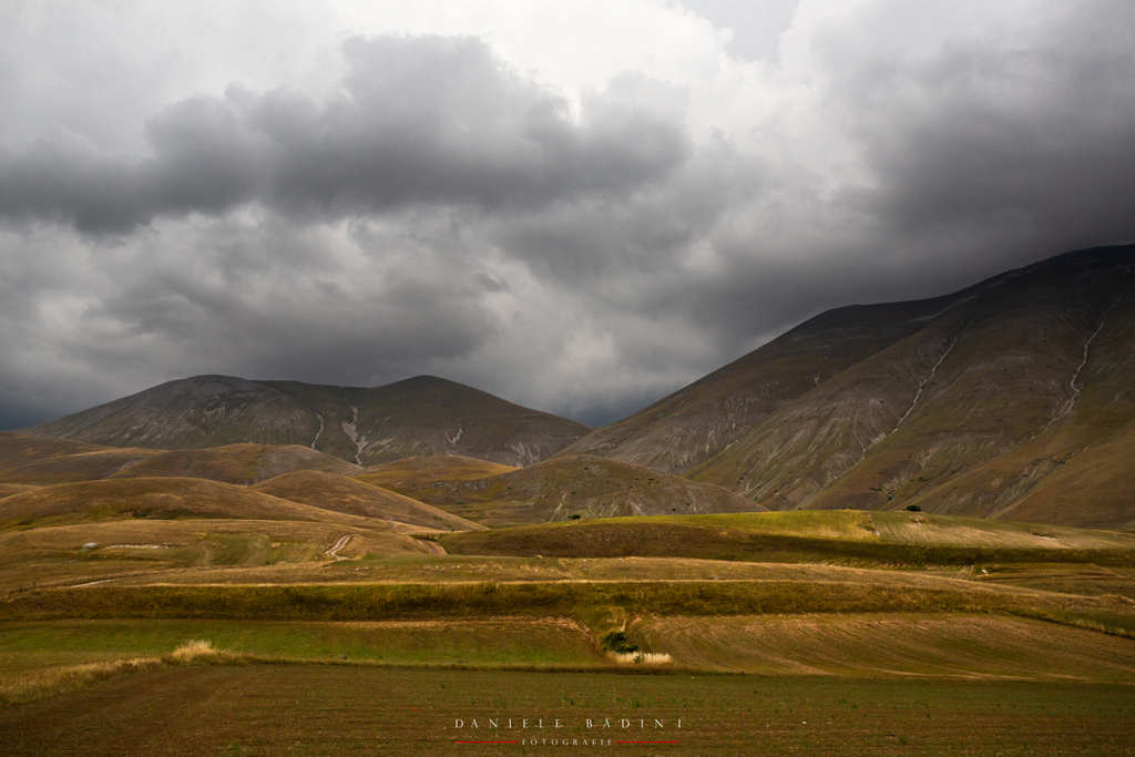 anche senza fioritura � affascinante
