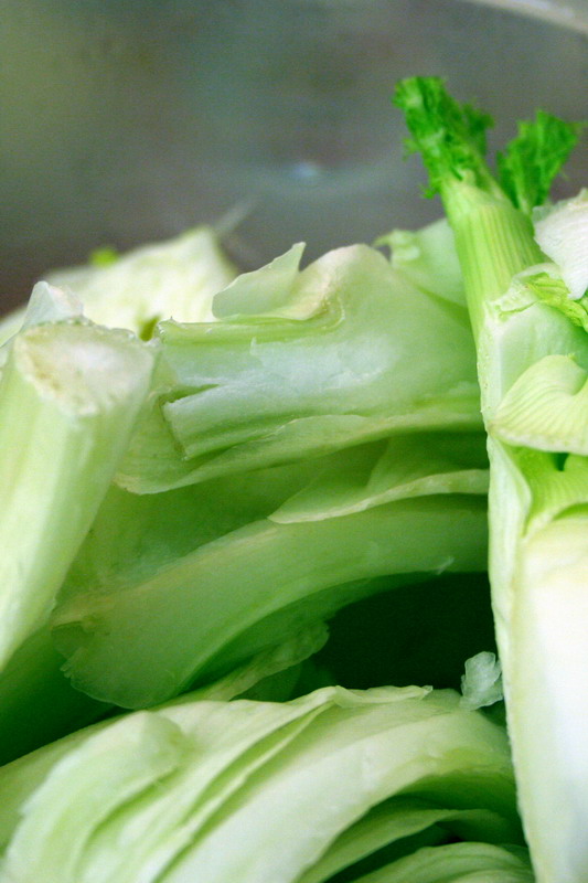 linee di finocchi....