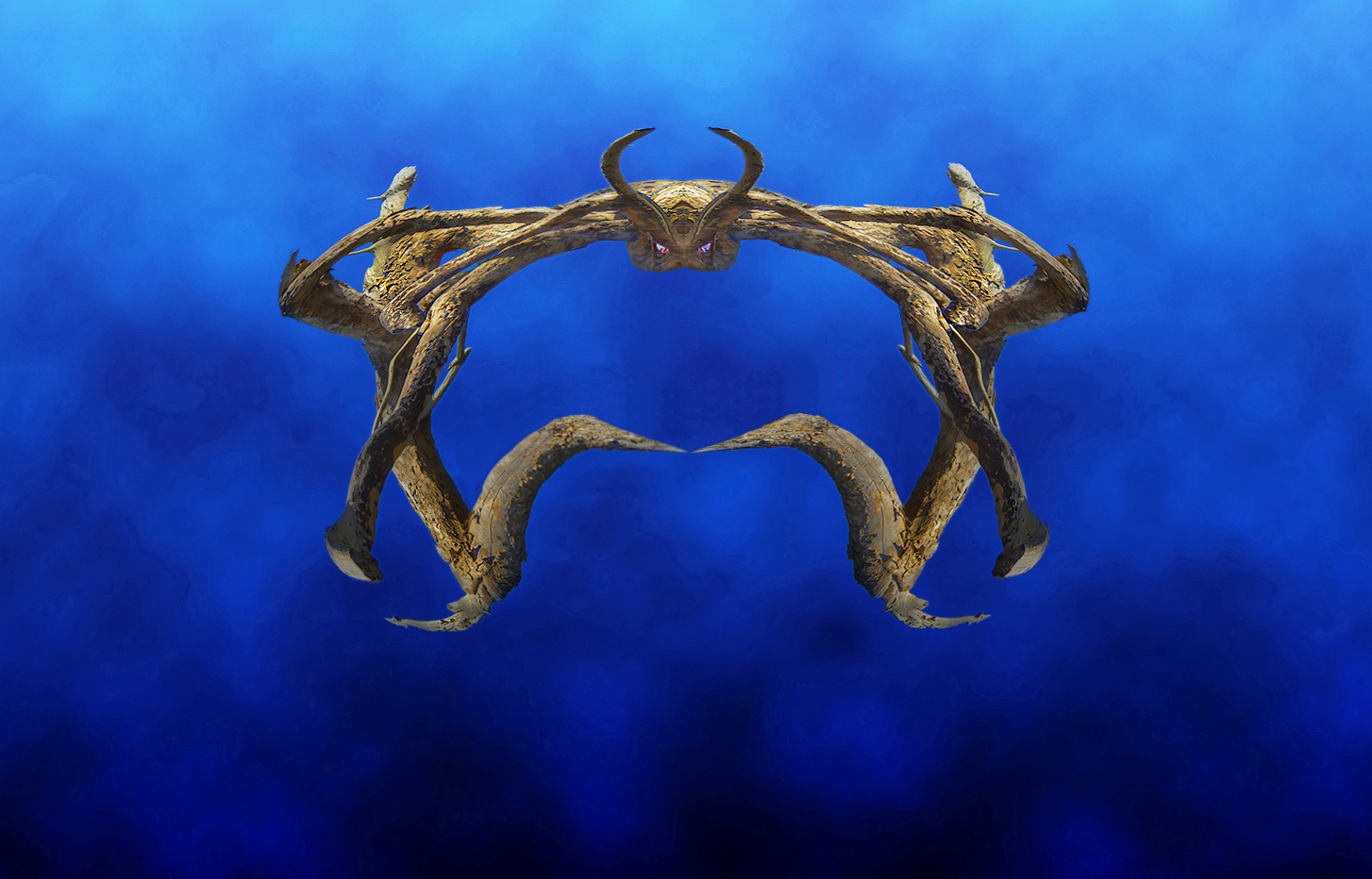 trasfigurando un ramo