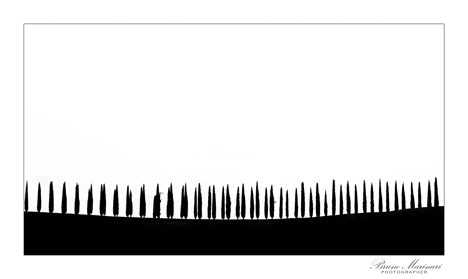 Filari in bianco e nero