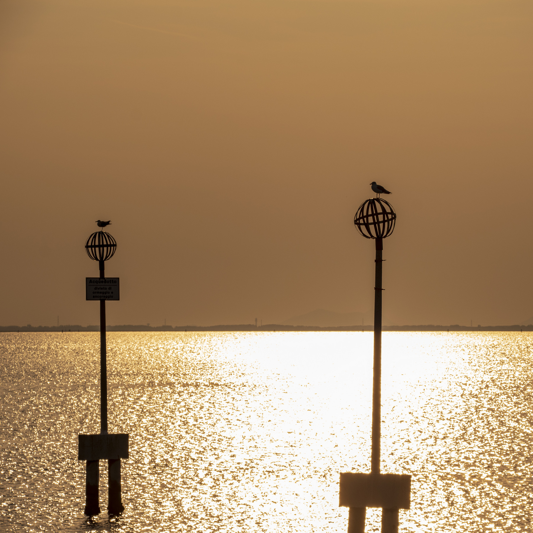 Guardiani della laguna