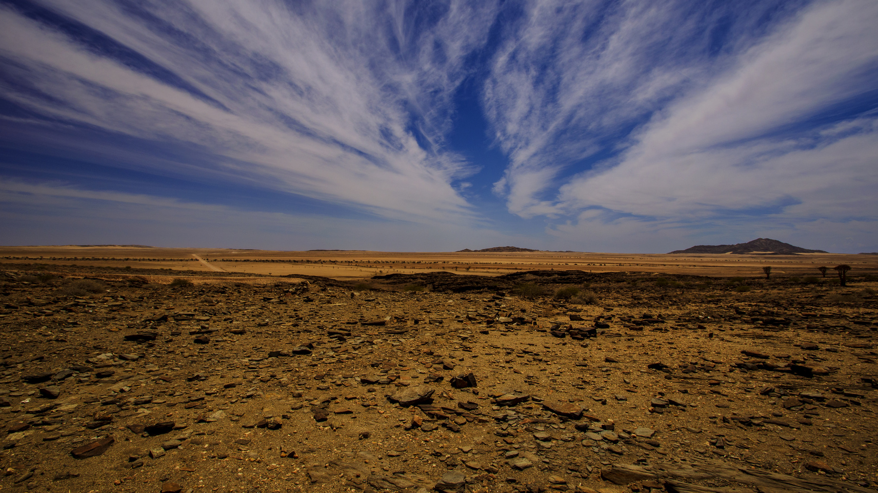Terra e cielo australi