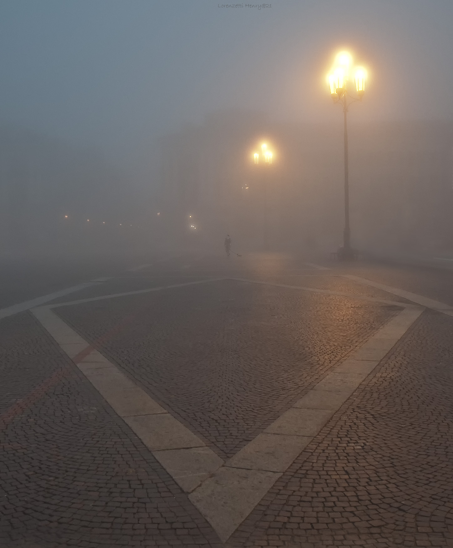 nella foschia con il cane....