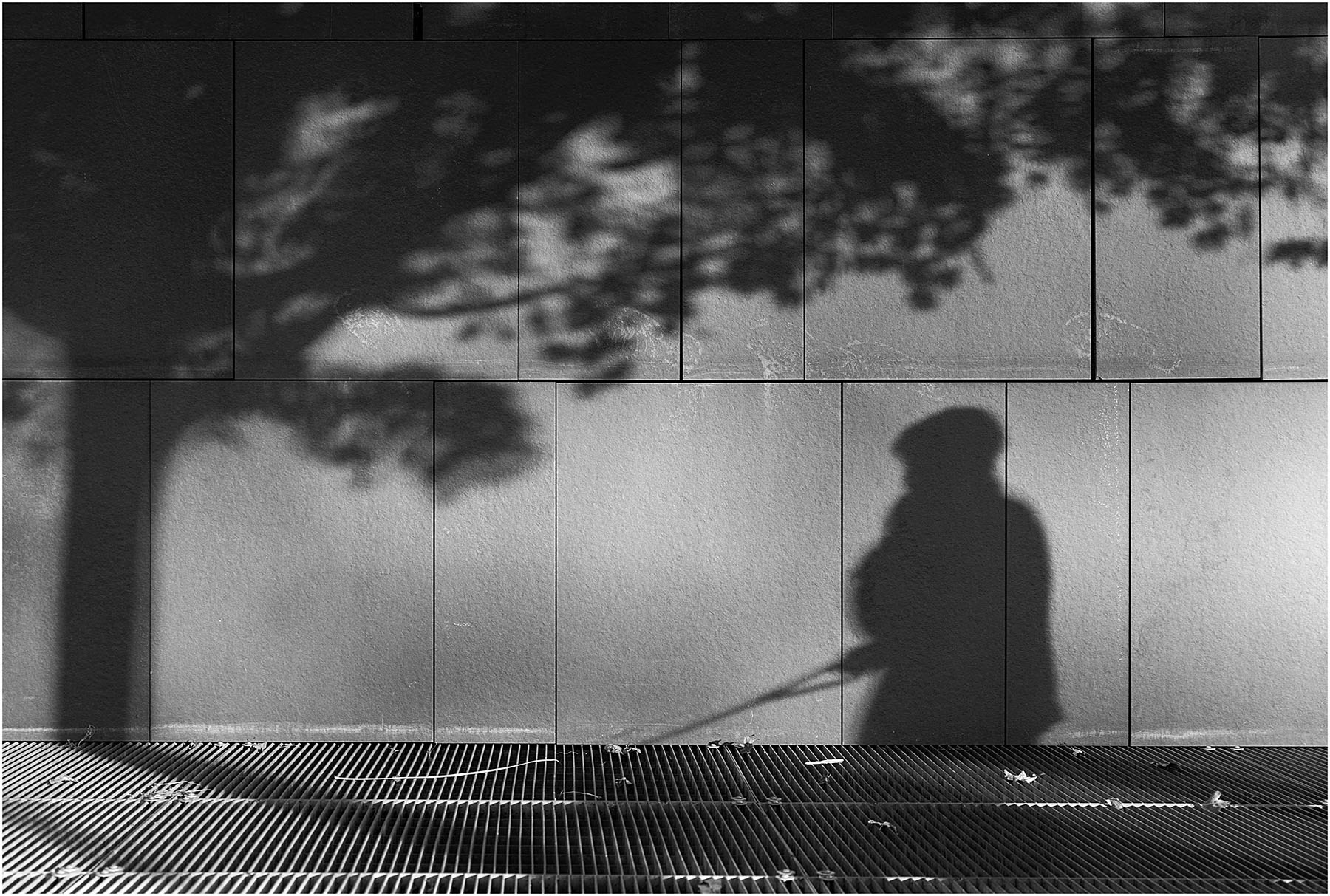 Diablo, un cane che si vede poco