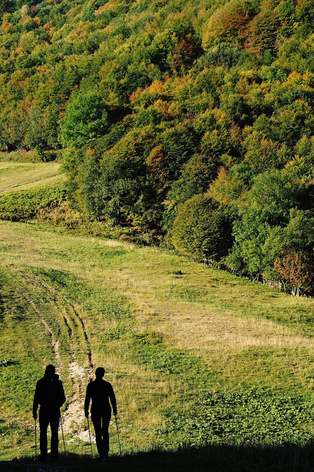 Camminando nell'autunno