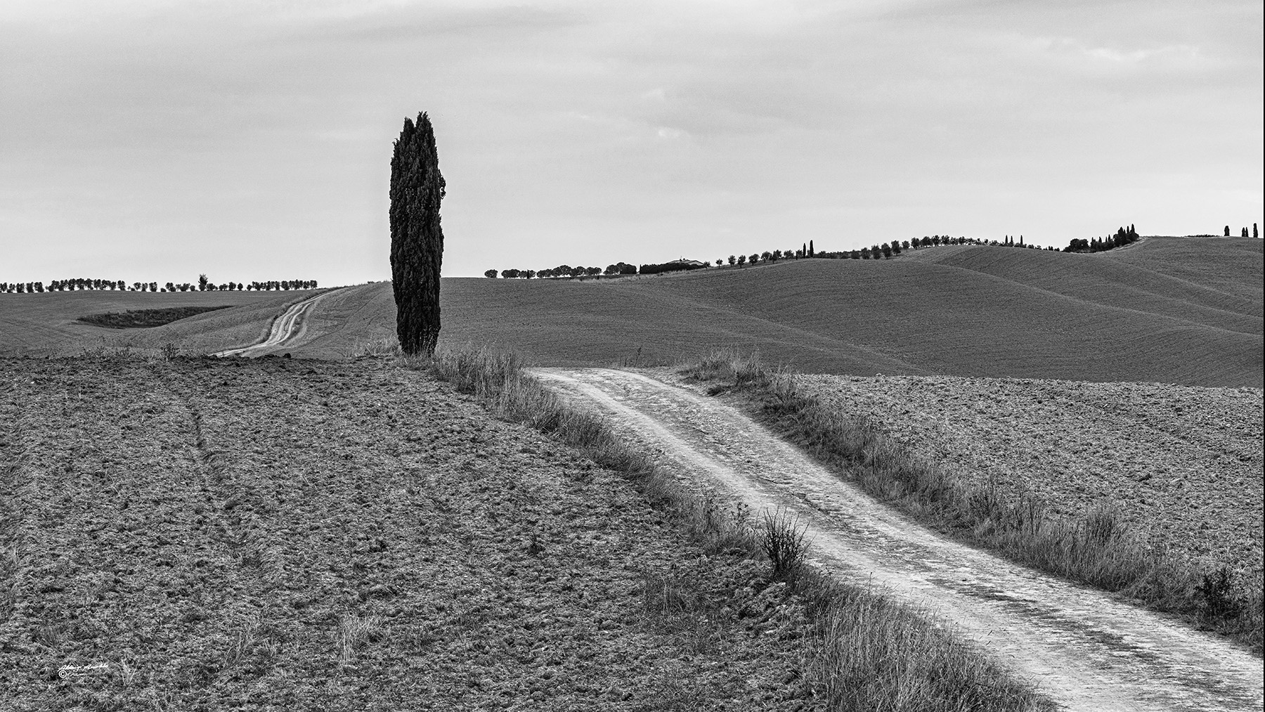 La lunga stradina di campagna..