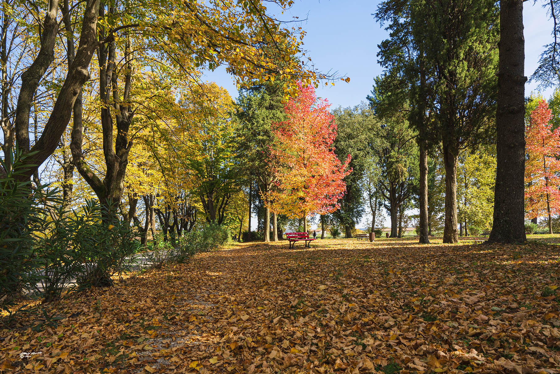 Giardini d'autunno..