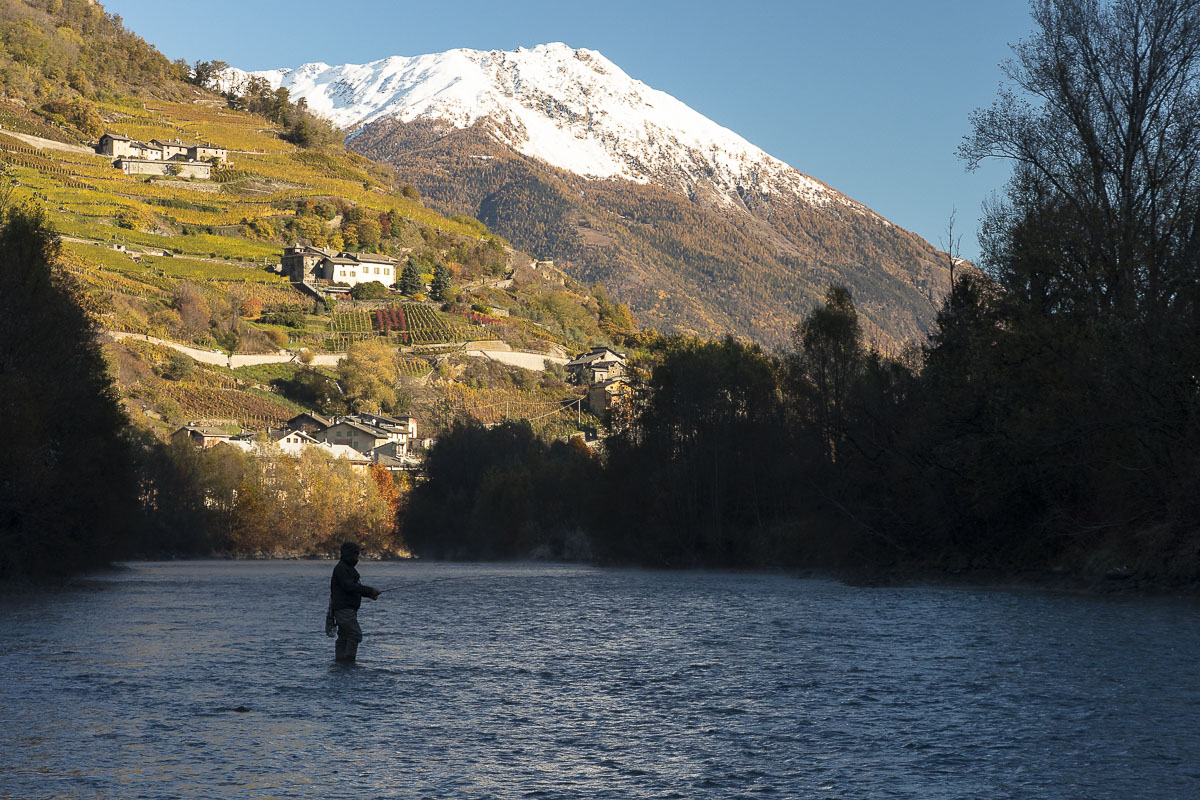 Pesca a mosca in Valtellina