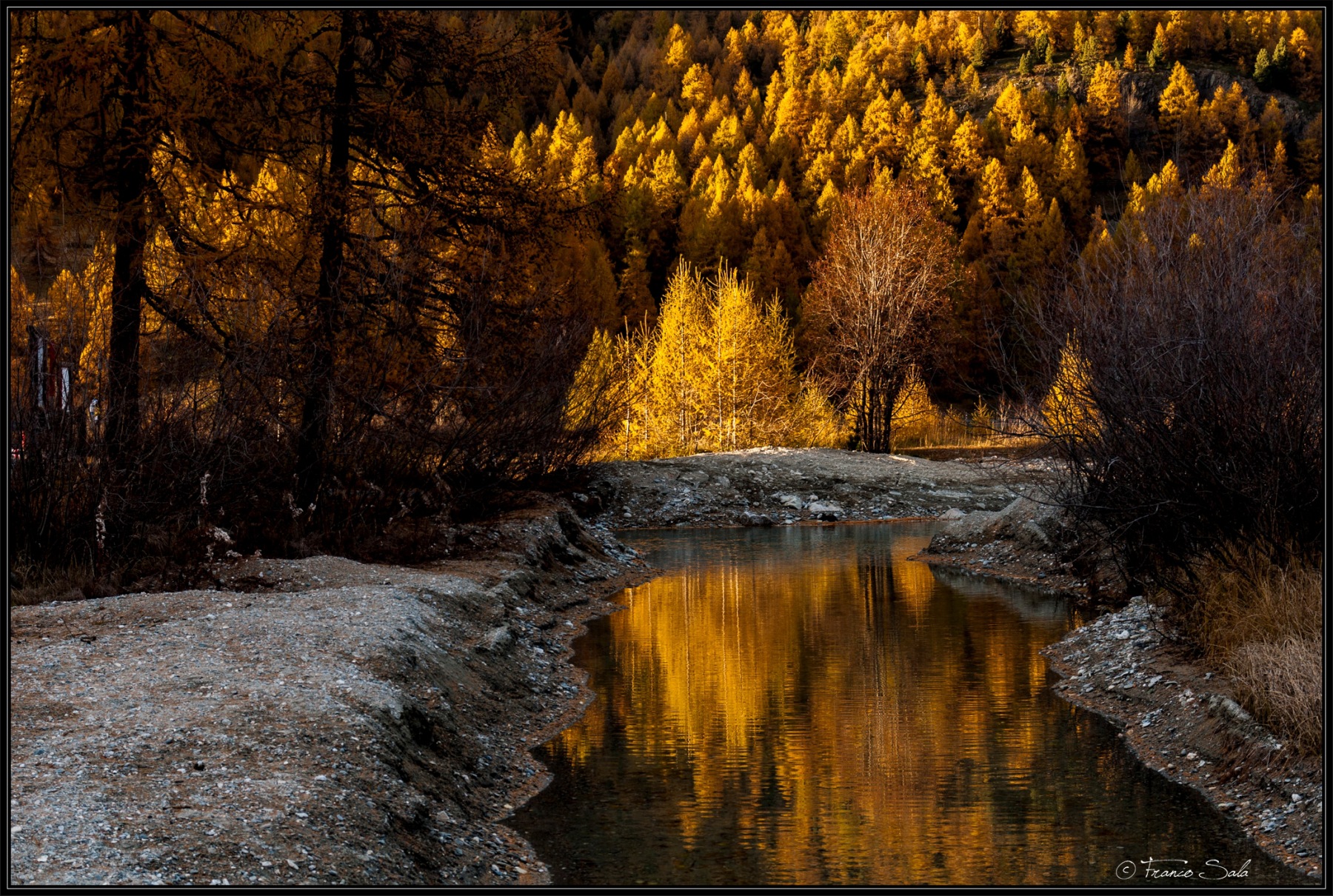 I colori dell'autunno