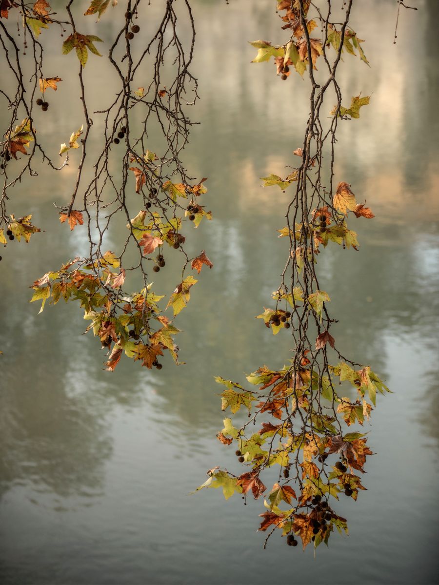 Piccoli racconti di un autunno romano