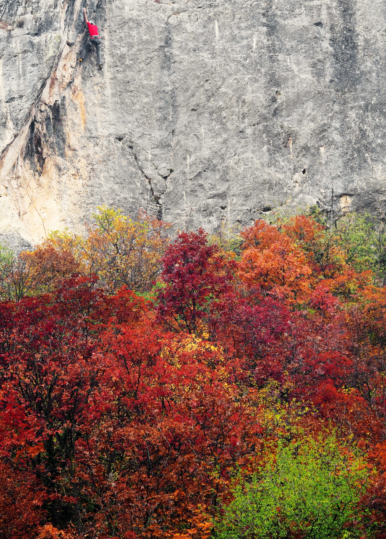 Arrampicatore nell'autunno
