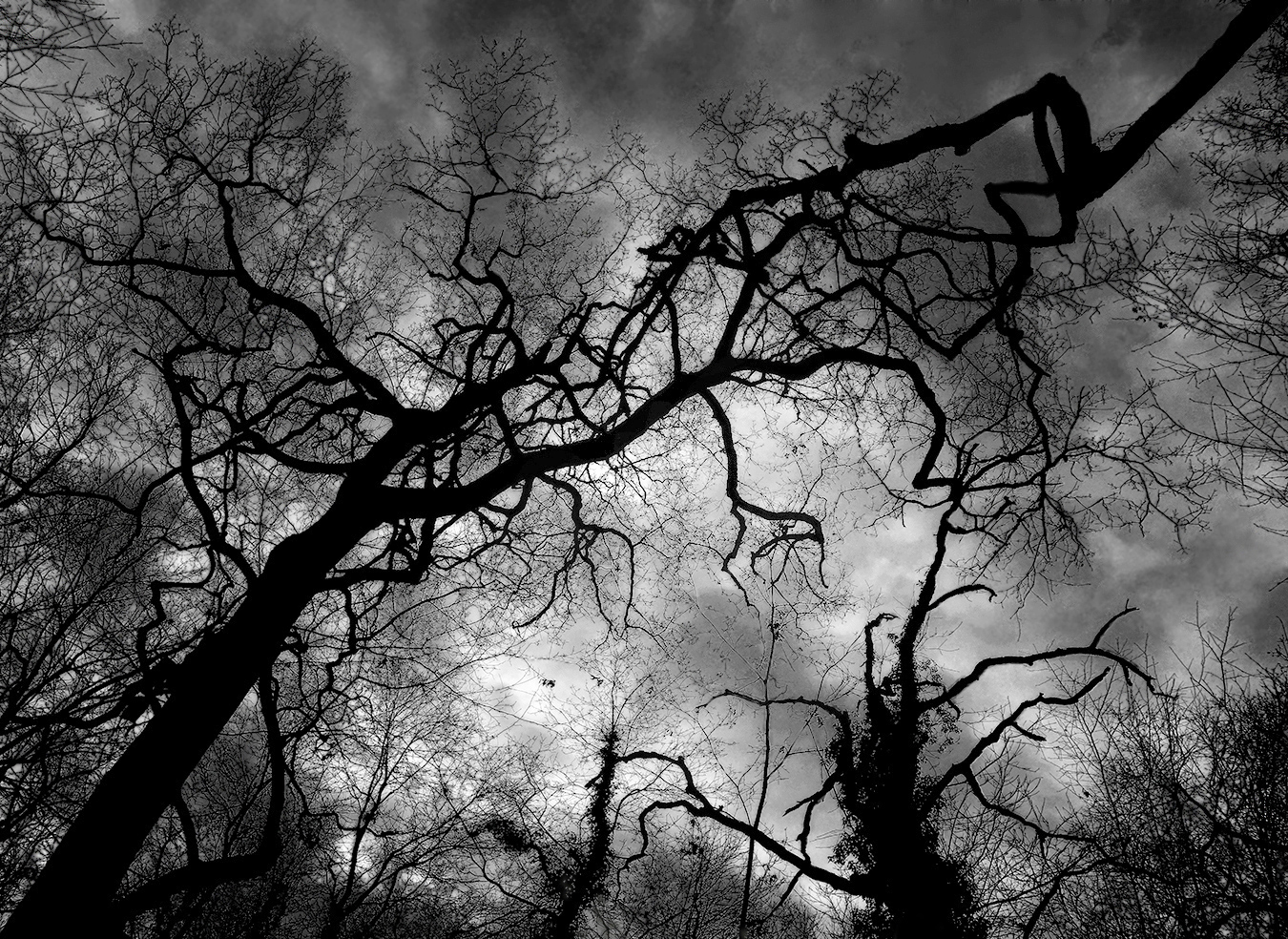 contendersi lo spazio